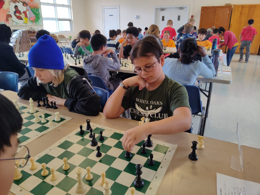 Hooked on rooks: Chess clubs look to create competitive league