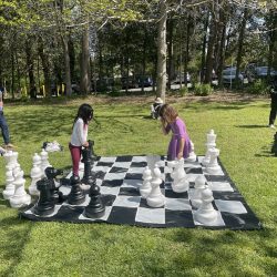Chess in the Park 2