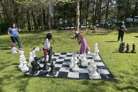 Chess in the Park 2